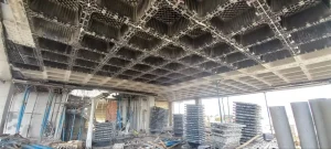 پروین سال 1405